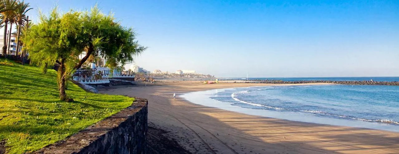 Nice Apartment On Las Americas Beach Playa de las Americas